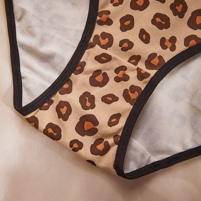 Hello KT Sassy Leopard Print Panties 3 Pic Set